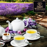 Чашка Wilmax WL-993000/AB