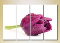 Картина Gallerix Polyptych Purple Tulip (2932378)