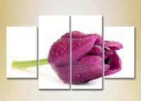 Картина Gallerix Polyptych Purple Tulip 01 (2932377)