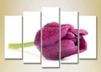 Картина Gallerix Polyptych Purple Tulip 03 (2932890)