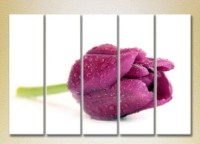 Картина Gallerix Polyptych Purple Tulip 04 (2932891)