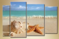 Pictură Gallerix Polyptych shell and starfish (1529806)