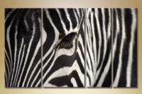 Картина Gallerix Polyptych Zebra (1523188)
