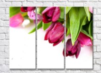 Pictură Gallerix Purple and pink tulips (500751)