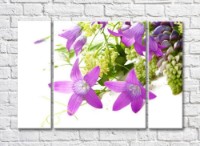Pictură Gallerix Purple bells on white background (500752)
