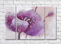 Pictură Gallerix Purple flower on beige background oil painting (500763)