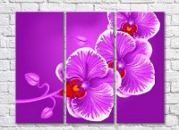 Pictură Gallerix Purple orchid on purple background (3448921)