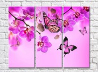Pictură Gallerix Purple orchids and butterflies on a pink background (500756)
