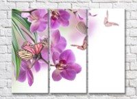 Pictură Gallerix Purple orchids and butterflies on white background (500755)