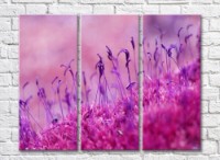 Pictură Gallerix Purple stamens of pink flower (500757)