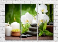 Картина Gallerix Spa composition of sea salt stones and white orchid (500671)