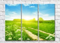 Pictură Gallerix Sun drenched path in a chamomile field (500740)