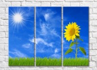 Картина Gallerix Sunflower flower on green grass against the sky (500794)