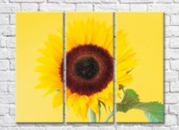 Картина Gallerix Sunflower flower on yellow background (500792)