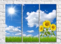 Pictură Gallerix Sunflower flowers on green grass against a cloudy sky (500771)