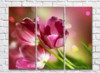Картина Gallerix Three large flowers of pink tulips (500678)