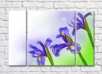 Картина Gallerix Three lilac irises (500679)
