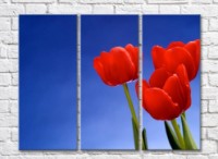 Картина Gallerix Three red tulips on a blue background (500677)