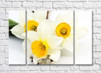 Картина Gallerix Three white daffodils with a yellow heart (500675)