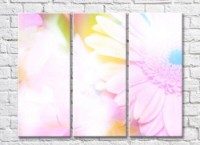 Pictură Gallerix Transparent background with gerbera flower (500539)