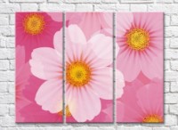 Pictură Gallerix Triptych Abstraction from pink flowers (500731)