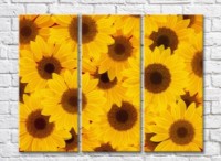 Pictură Gallerix Triptych Abstraction from sunflowers (500730)