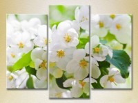 Pictură Gallerix Triptych Apple Blossom 01 (2699454)