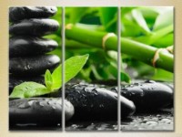 Картина Gallerix Triptych Bamboo and Massage Stones 01 (2699526)