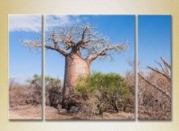Картина Gallerix Triptych Baobab (2181109)