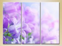 Картина Gallerix Triptych Bells 01 (2699512)