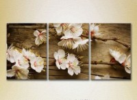 Pictură Gallerix Triptych Blossoming branch on the board (2699447)