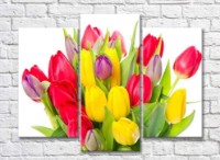 Pictură Gallerix Triptych bouquet of colorful tulips (500732)