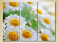 Картина Gallerix Triptych Bouquet of daisies (2699536)