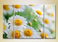 Картина Gallerix Triptych Bouquet of daisies 01 (2699528)