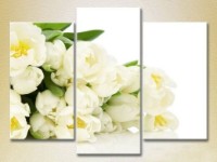 Картина Gallerix Triptych Bouquet of white tulips 02 (2699530)