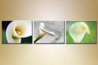 Картина Gallerix Triptych Calla lilies (1409857)