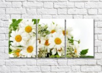 Pictură Gallerix Triptych Chamomile bouquet (500736)