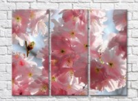 Pictură Gallerix Triptych cherry blossom (500738)