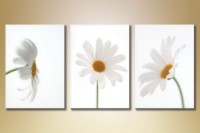 Картина Gallerix Triptych Daisies 03 (1612515)