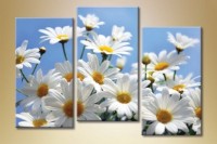 Pictură Gallerix Triptych Daisies 04 (1612523)