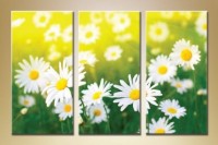 Pictură Gallerix Triptych daisies 05 (1409852)