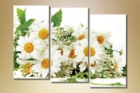 Pictură Gallerix Triptych Daisies 07 (1612526)