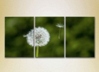 Картина Gallerix Triptych Dandelion (2699553)