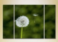 Картина Gallerix Triptych Dandelion 02 (2699549)