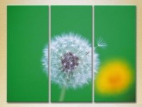 Картина Gallerix Triptych Dandelion on a green background (2699491)