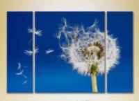 Картина Gallerix Triptych Flying Dandelion 01 (2699472)