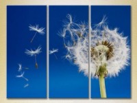 Картина Gallerix Triptych Flying Dandelion 02 (2699471)