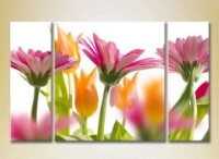 Картина Gallerix Triptych Gerbera (2699548)