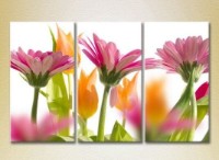 Картина Gallerix Triptych Gerbera 01 (2699560)
