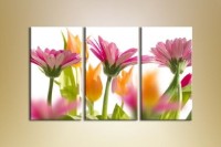 Картина Gallerix Triptych Gerbera Pink (1612536)